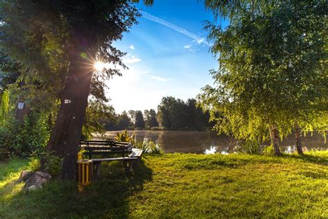 1000+ Beautiful Morning Photos · Pexels · Free Stock Photos