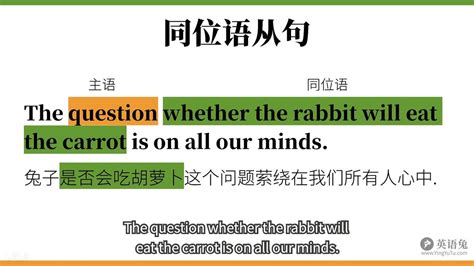 英语兔语法笔记同位语从句 哔哩哔哩