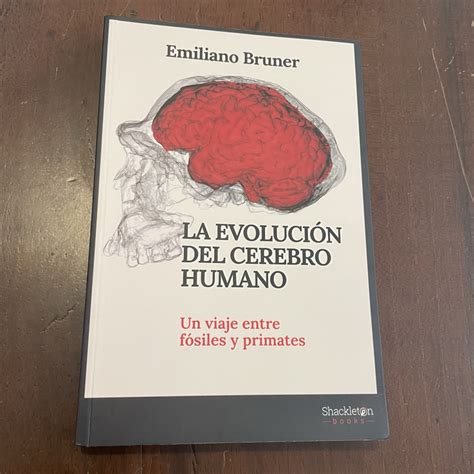 La evolución del cerebro humano