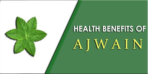 Amazing Health Benefits Of Ajwain Leaves T O D A Y