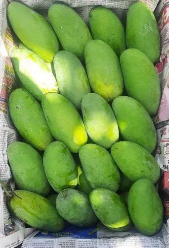 Dasheri Green Dashehari Mango Carton Packaging Size 10 Kg At Rs 50