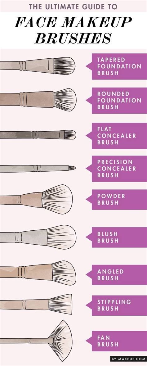 Guide To Makeup Brushes With Pictures | Saubhaya Makeup