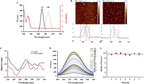 Characterization Of Dna Agncs A Uv Vis Absorption Spectra Red