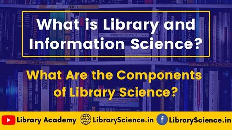 The Importance Of Library Science As A Stem Degree And Its Job