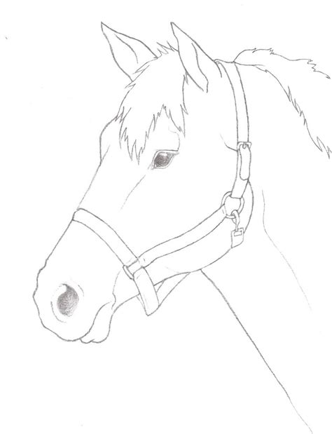 Horse Sketch Simple at PaintingValley.com | Explore collection of Horse Sketch Simple