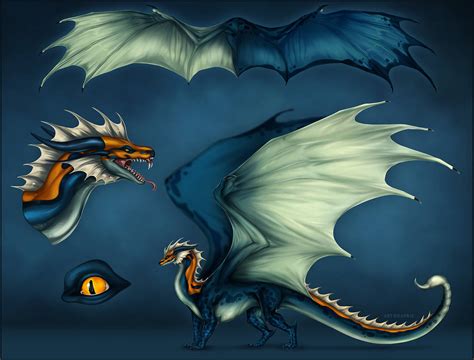 Dragon Reference Sheet Commission By Raxrie On Deviantart