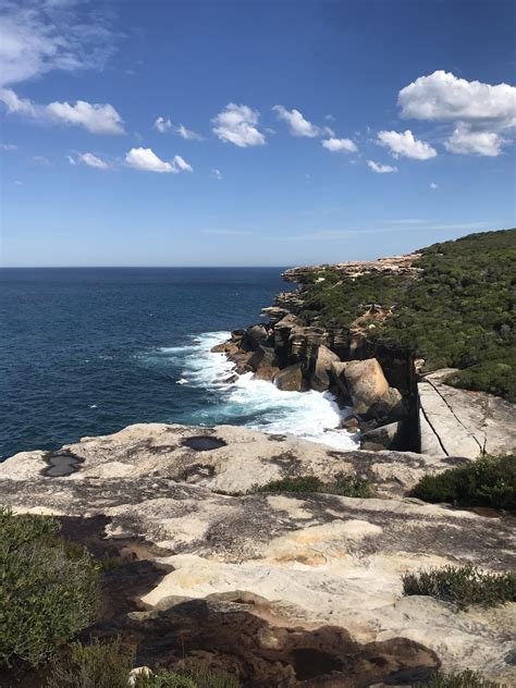 Royal National Park - my favourite hiking trail : r/sydney