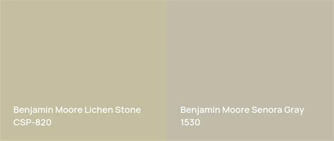 Benjamin Moore Lichen Stone Csp Real Home Pictures