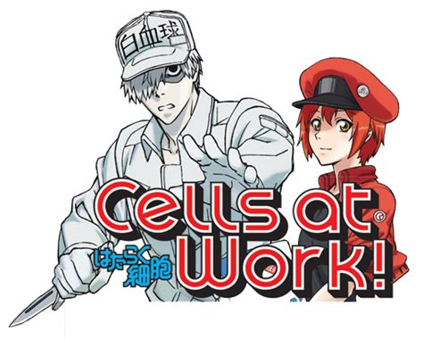 Cells At Work Vs Battles Wiki Fandom