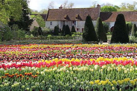 Chateau de Chenonceau gardens; a stunning chateau surrounded by ...