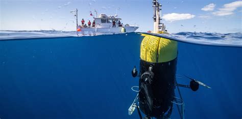 The ocean twilight zone could eventually store vast amounts of carbon ...