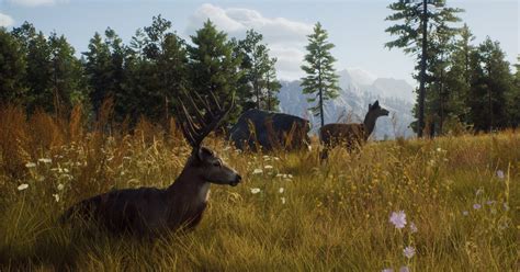 Сезон охоты объявлен открытым: Выпущена игра Way of the Hunter ...