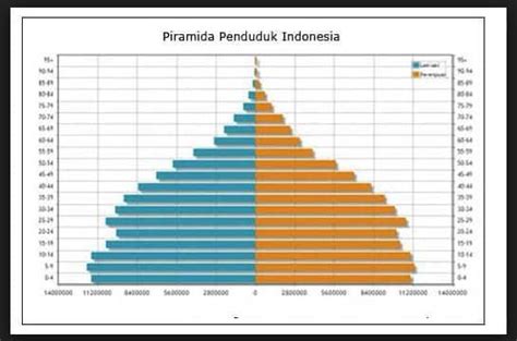 Detail Gambar Piramida Penduduk Indonesia Koleksi Nomer 38