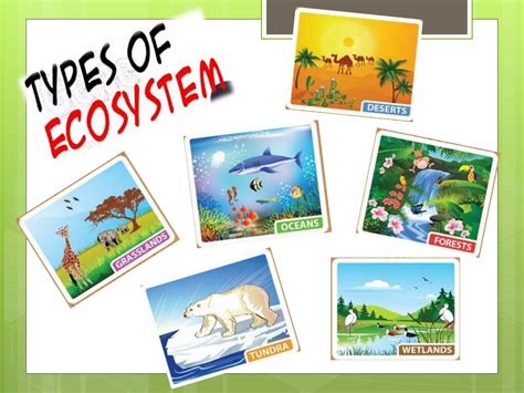 Types Of Ecosystem PPT