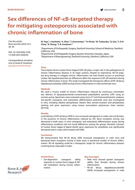 Pdf Sex Differences Of Nf κb Targeted Therapy For Mitigating