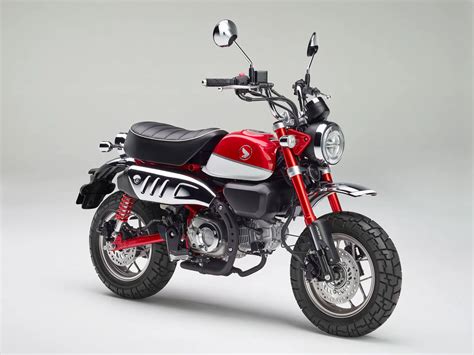 2021 Honda Monkey ABS Guide • Total Motorcycle