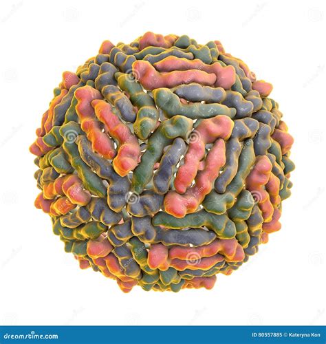 West Nile virus stock illustration. Illustration of medicine - 80557885