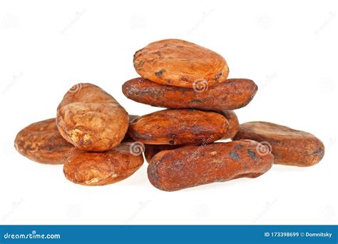 Heap Of Raw Cocoa Beans Isolated On White Background Stock Image