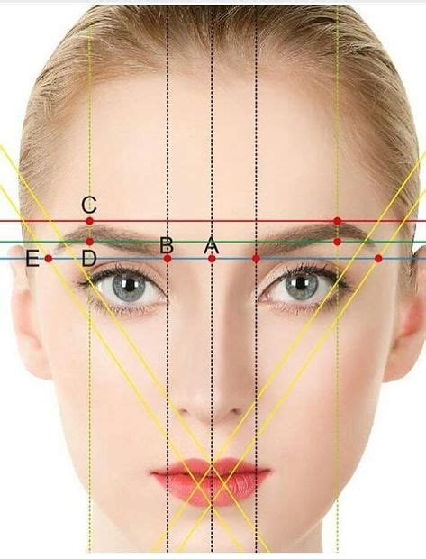 Ideas De Proporci N Facial Rostros Dimensiones De La Cara