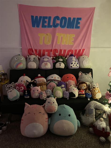 Current complete collection pic : squishmallows