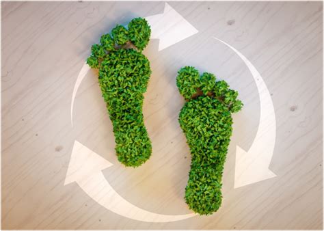 The Cost of Going Green: Everything You Need to Know - Orange Marigolds