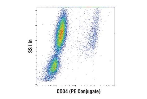 Cst Cd34 Ico115 Mouse Mab Pe Conjugate