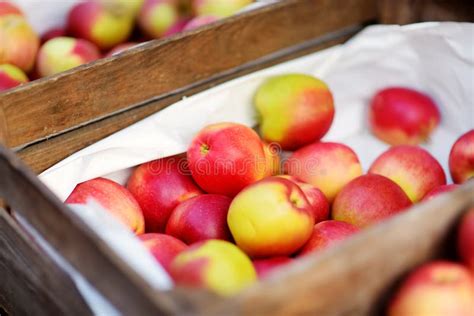 Manzanas Rojas Y Amarillas Frescas En Cajas De Madera Vendidas En El