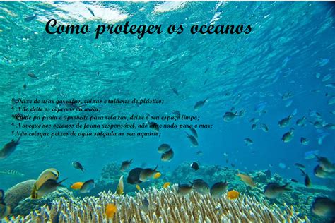 Por Que É Importante Proteger Os Oceanos - Os 11 Cientistas do 4ºC: Vamos proteger os Oceanos