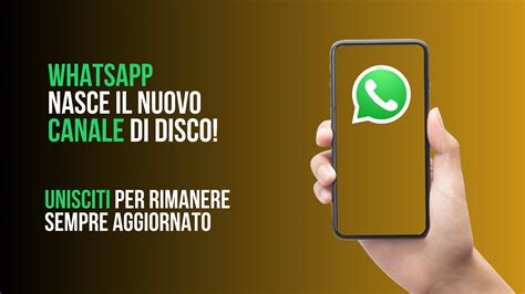 Nasce Il Canale Whatsapp Di Disco Disco