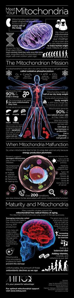 43 Best Physics Poster Ideas Physics Physics Poster Science