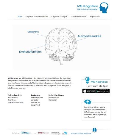 Kognitionstraining F R Multiple Sklerose Erkrankte Erweitert Amsel E V