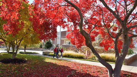 Rider Named A Green College By Princeton Review For 10th Straight Year Rider University