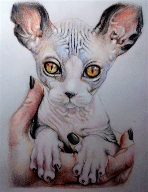 cat by ElenaSai on DeviantArt