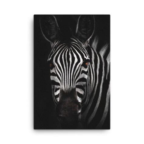 Zebra Wall Art Hd Portrait Beautiful Living Room Decor Wall Prints