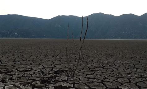 Altas Temperaturas Y Cambio Climático Provoca Escasez De Agua En