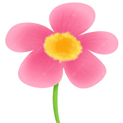 Flor Rosa Png Flor Rosa Png Flor Lindo Clipart De Flores Imagem