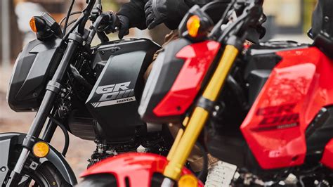 Honda Grom Alternatives That Won T Break The Bank