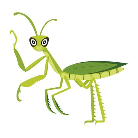 Premium Vector Cute Praying Mantis Flat Icons