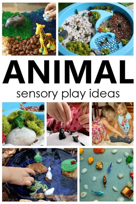 35 Playful Animal Activities For Kids Fantastic Fun And Learning