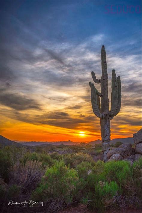 Desert Sunset Arizona By Derek Burdeny On 500px Sunsets Desert Sunset Sunrise Pictures