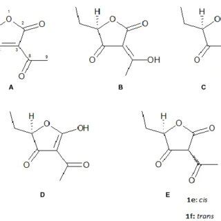 Classical Structure Of Mitrafungidione A And Tautomers B F