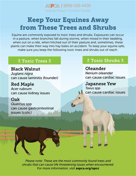 Download Print And Hang This Poster In Your Barn To Remind Staff