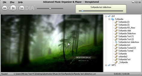 Advanced Music Organizer Download Free Windows 22 Softpedia