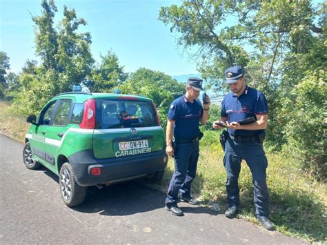 Trovato Ad Appiccare Il Fuoco Arrestato Dai Carabinieri Forestale Un