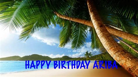 Ariba Beaches Playas Happy Birthday Youtube