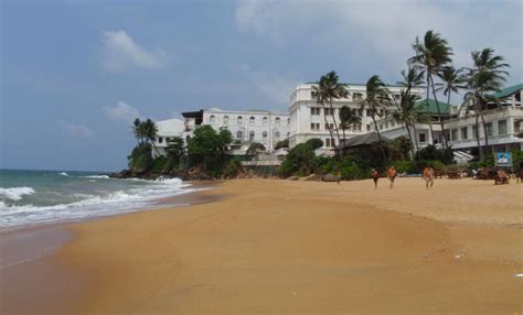 Mount Lavinia Beach,White Beach,Top Srilanka Beaches,Top Beaches In The ...