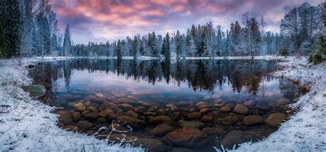 лес :: зима :: озеро :: Природа (красивые фото природы: моря, озера ...