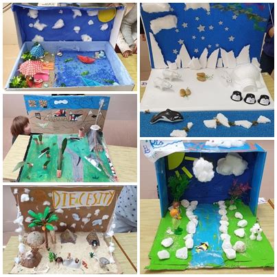 Maquetas De Ecosistemas Ceip Manuel Franco Royo