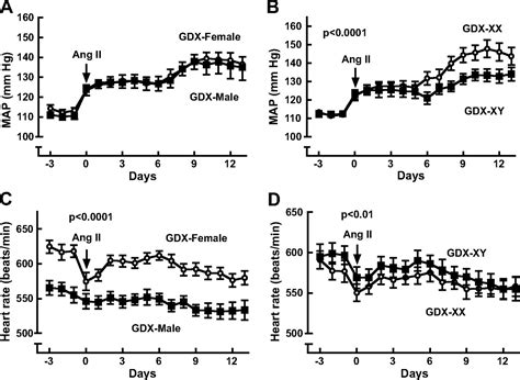 Sex Chromosome Effects Unmasked In Angiotensin Ii Induced Hypertension