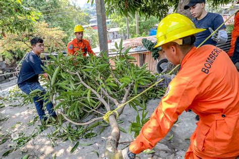 Diario El Salvador on Twitter DePaís Gestores territoriales del